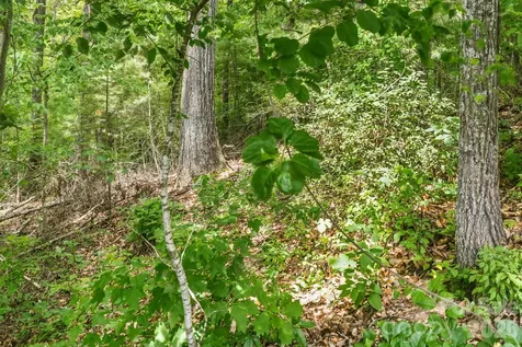 999 Perrion Avenue Weaverville NC 28787