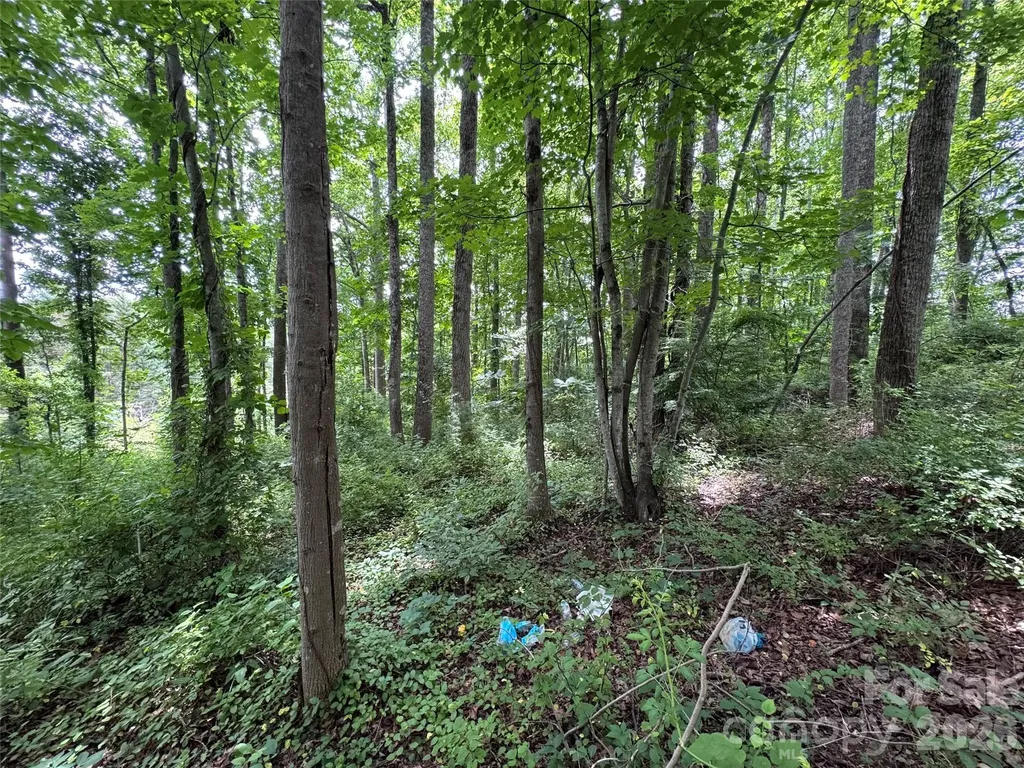 402 Sharon Road Fairview NC 28730