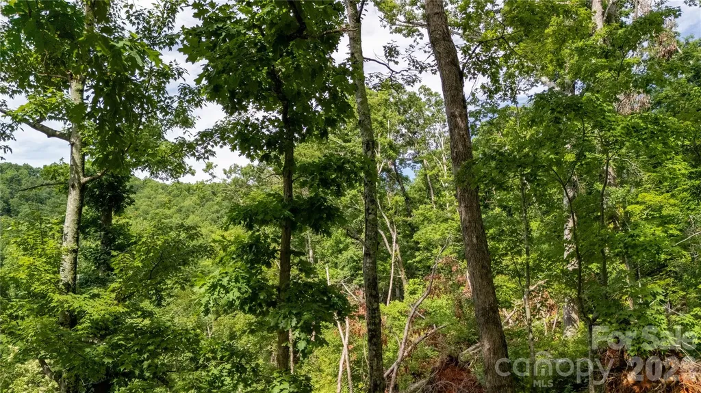 Lot 146 Shire Lane Union Mills NC 28139