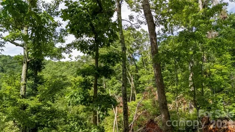 Lot 146 Shire Lane Union Mills NC 28139