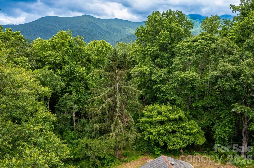 191 Walkertown Road Black Mountain NC 28711