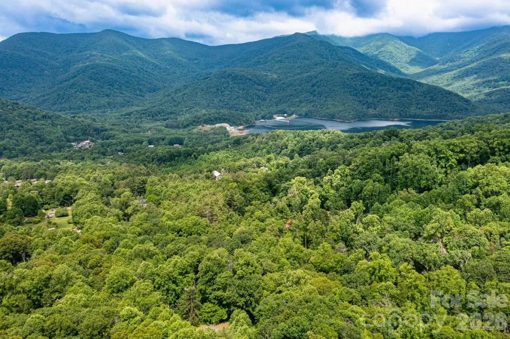 191 Walkertown Road Black Mountain NC 28711