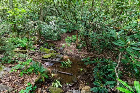 191 Walkertown Road Black Mountain NC 28711