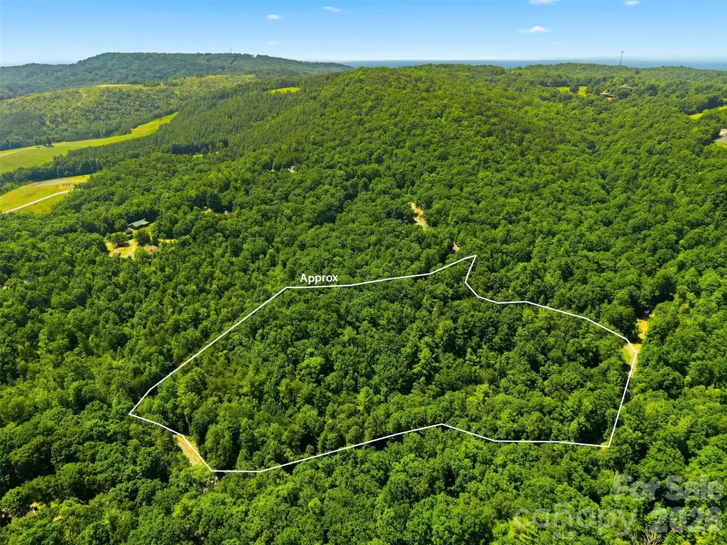 Tbd Basin Creek Drive Taylorsville NC 28681