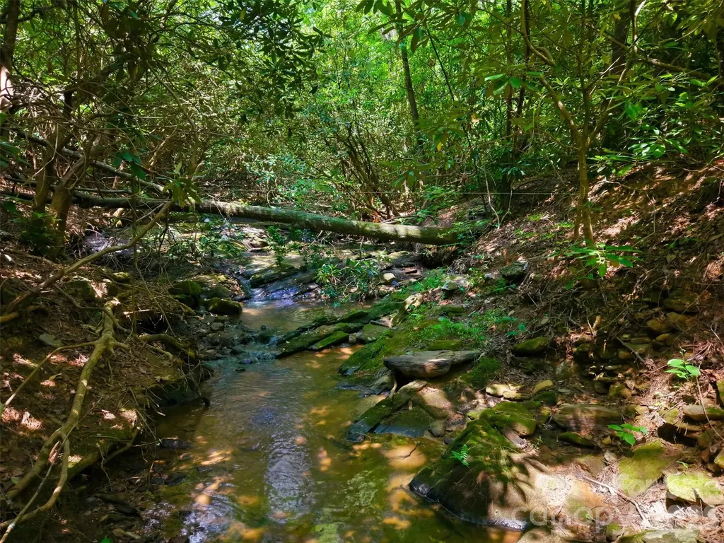 Tbd Basin Creek Drive Taylorsville NC 28681