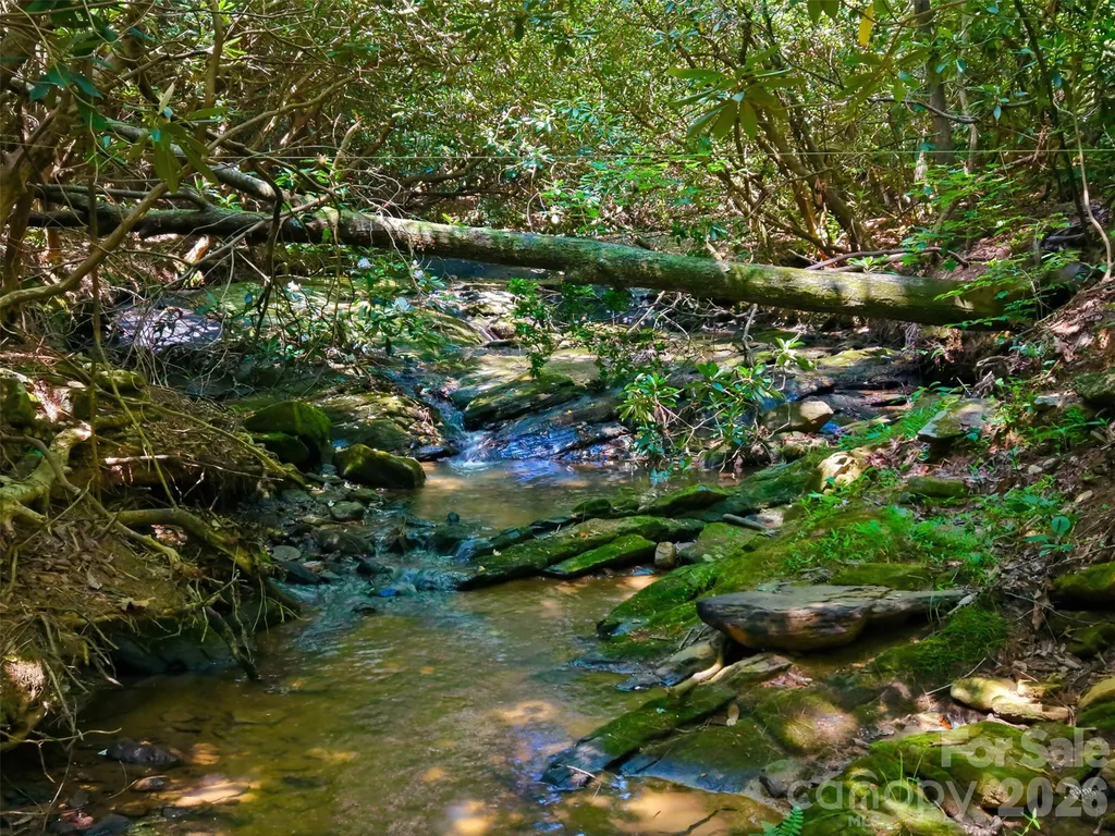 Tbd Basin Creek Drive Taylorsville NC 28681