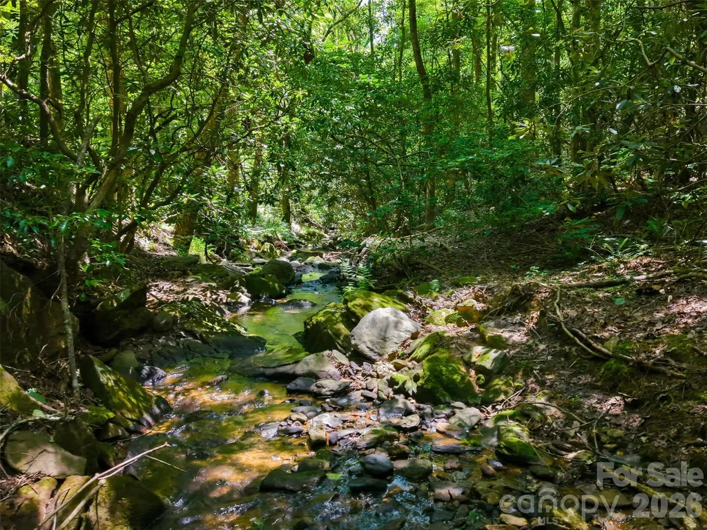 Tbd Basin Creek Drive Taylorsville NC 28681