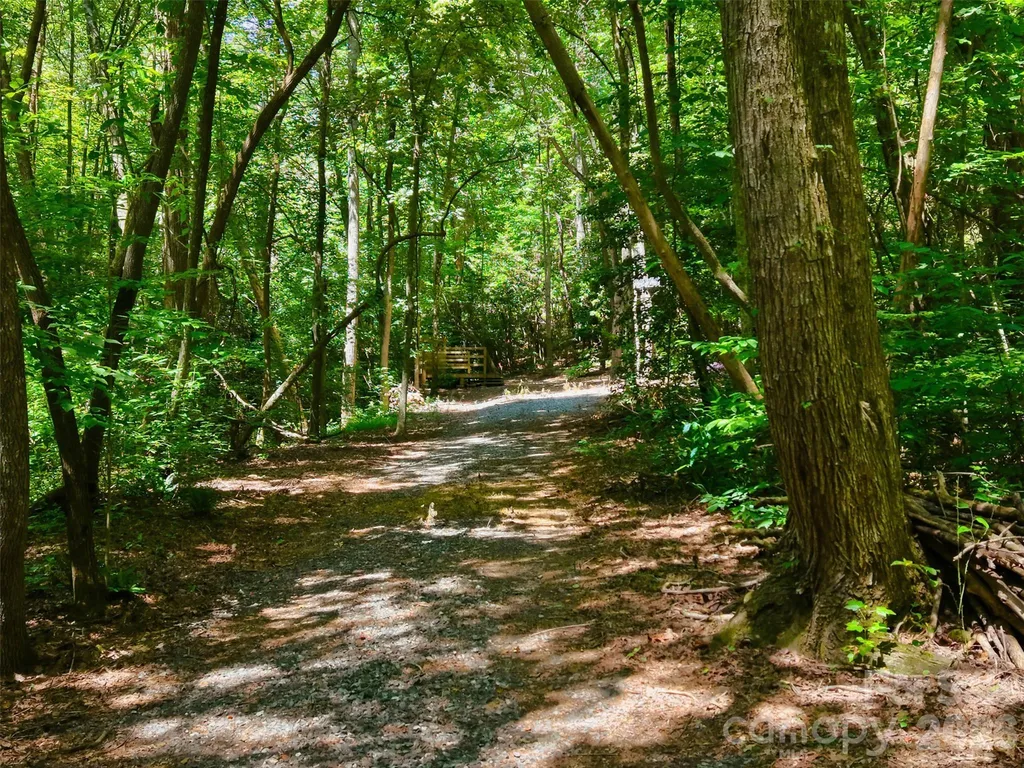 Tbd Basin Creek Drive Taylorsville NC 28681