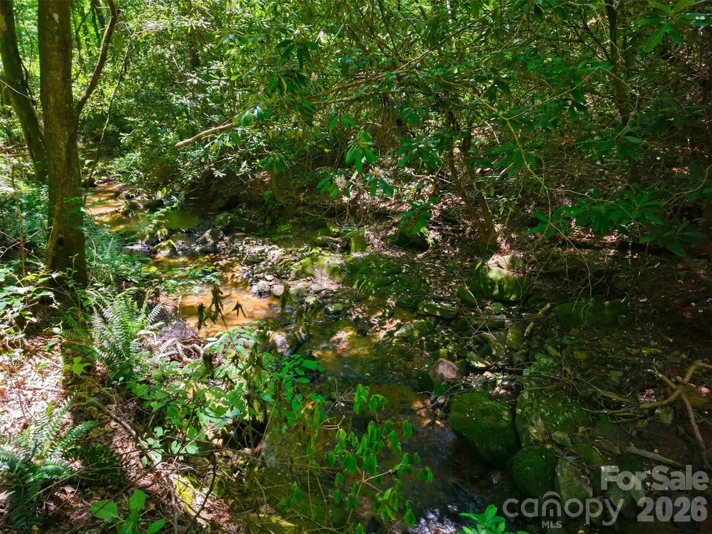 Tbd Basin Creek Drive Taylorsville NC 28681