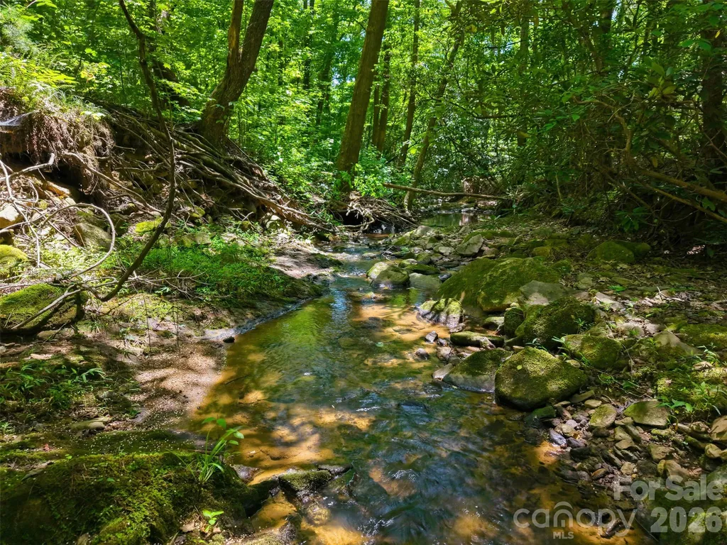 Tbd Basin Creek Drive Taylorsville NC 28681