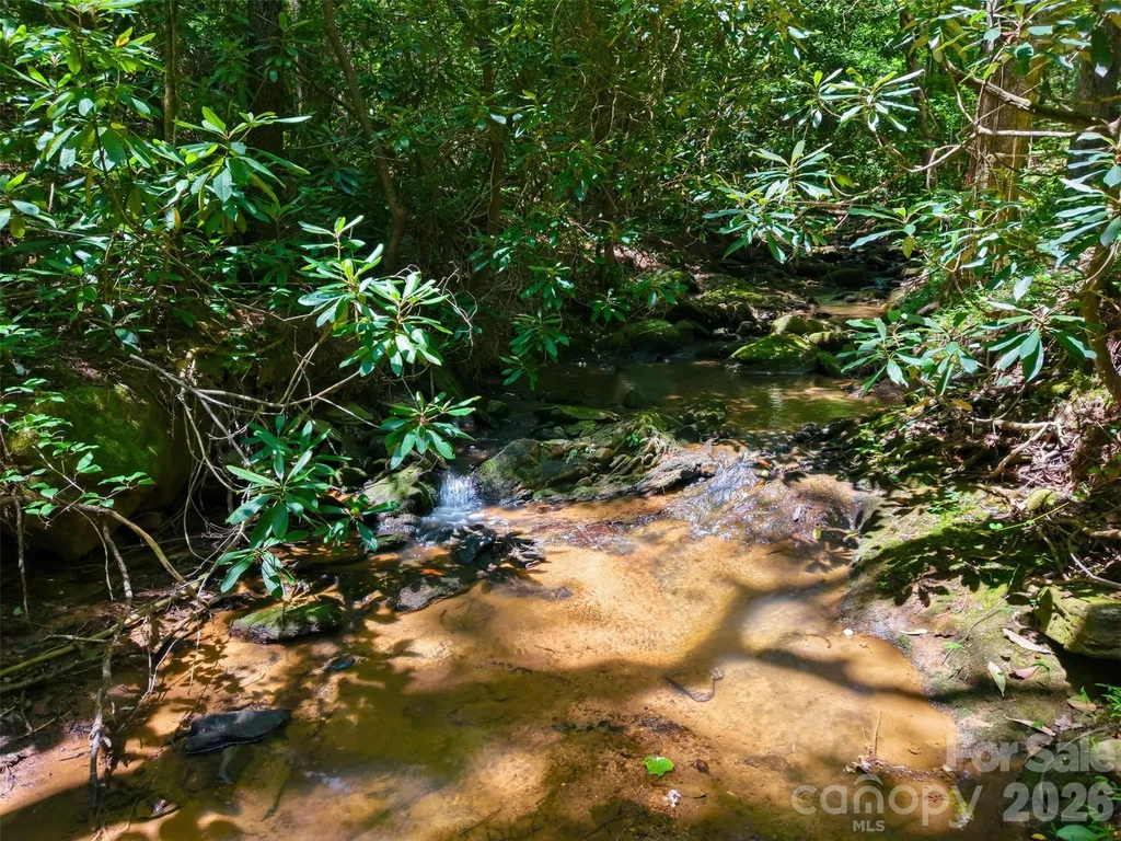Tbd Basin Creek Drive Taylorsville NC 28681