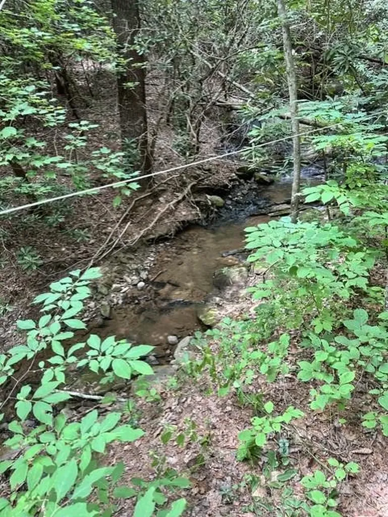 Tbd Basin Creek Drive Taylorsville NC 28681