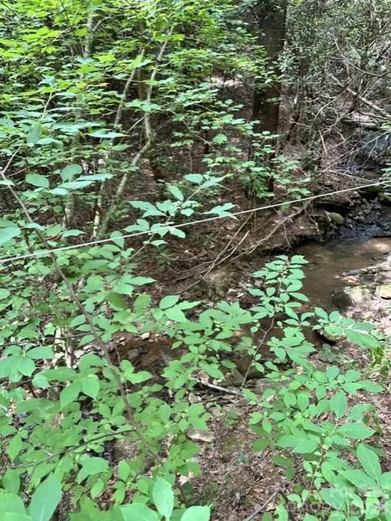 Tbd Basin Creek Drive Taylorsville NC 28681
