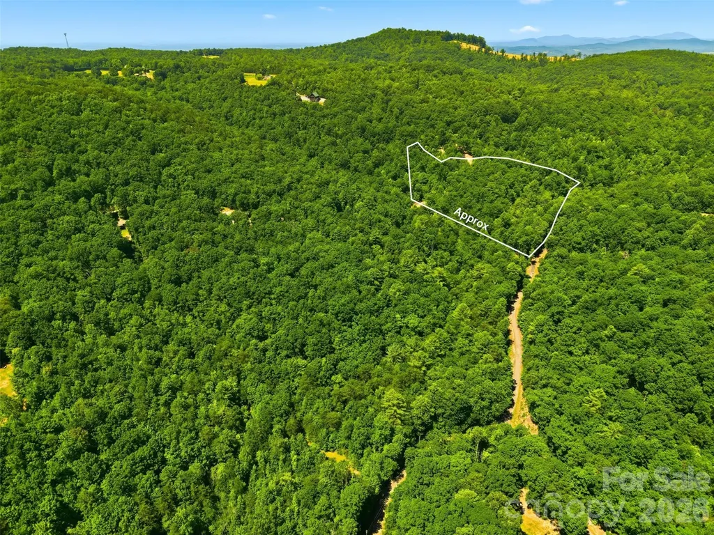 Tbd Basin Creek Drive Taylorsville NC 28681