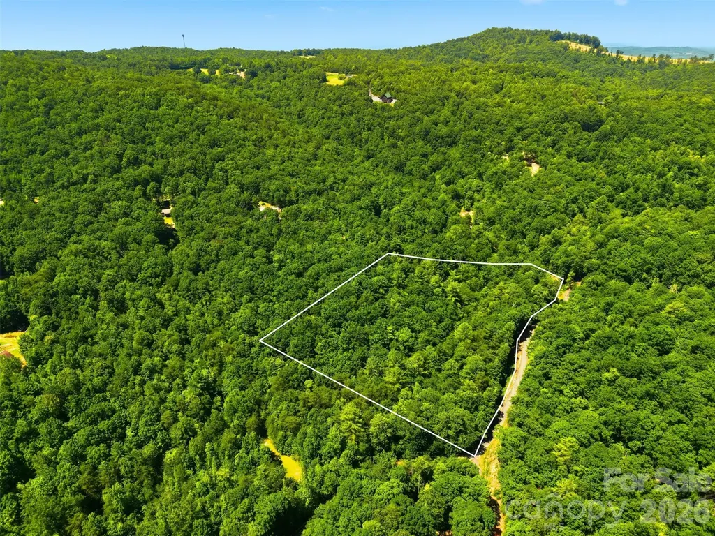 Tbd Basin Creek Drive Taylorsville NC 28681