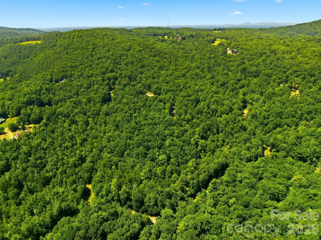 Tbd Basin Creek Drive Taylorsville NC 28681