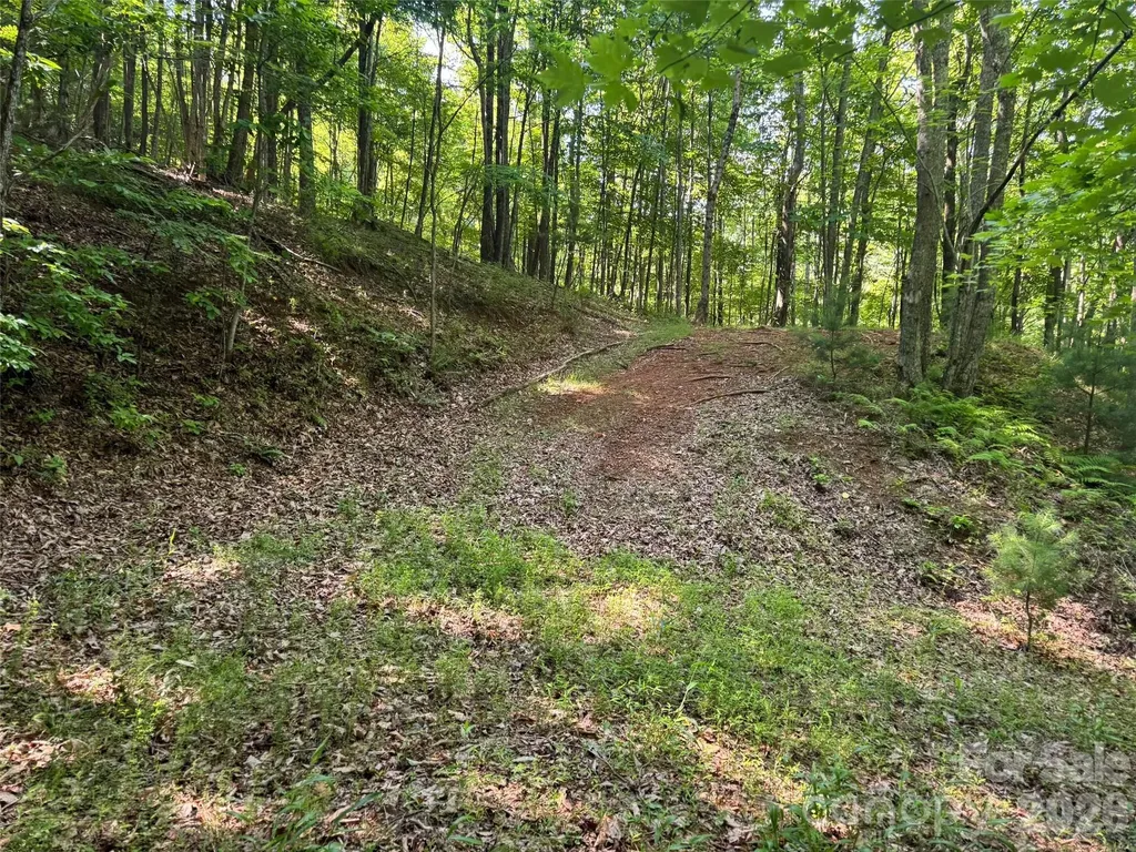 856 Stoney Stream Lane Arden NC 28704