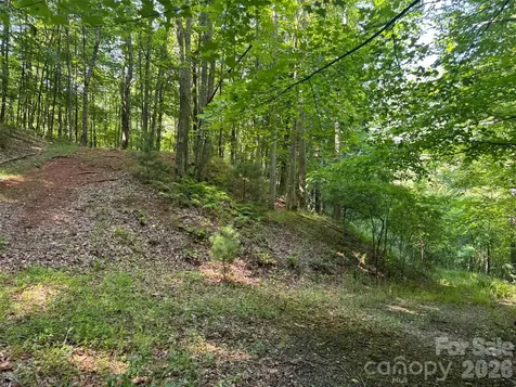 856 Stoney Stream Lane Arden NC 28704