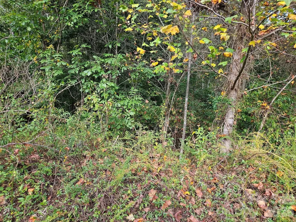 0 Hickory Loop Road Rutherfordton NC 28139