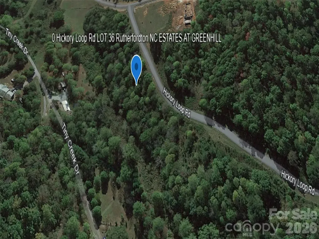 0 Hickory Loop Road Rutherfordton NC 28139