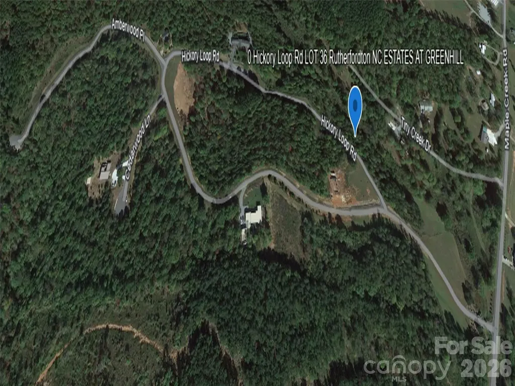 0 Hickory Loop Road Rutherfordton NC 28139