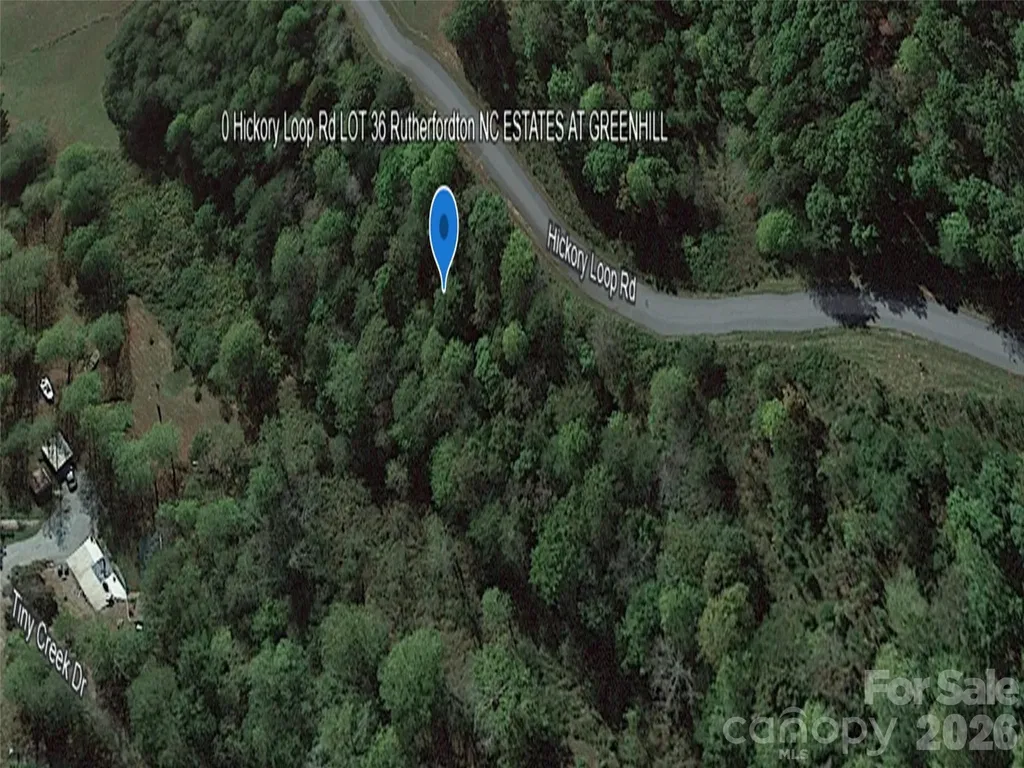 0 Hickory Loop Road Rutherfordton NC 28139