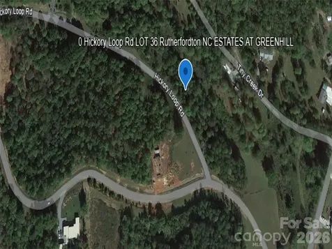 0 Hickory Loop Road Rutherfordton NC 28139