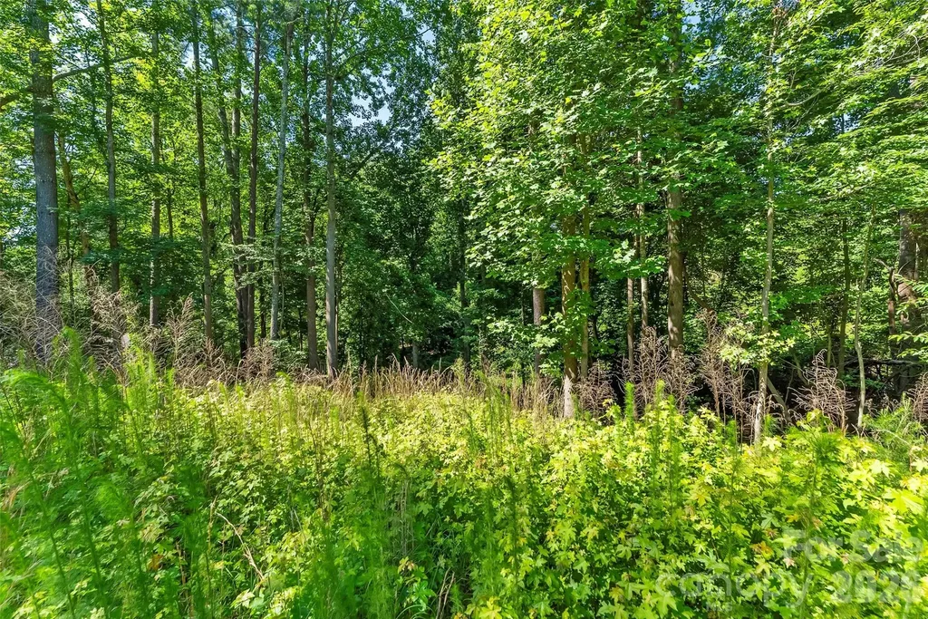 6125 Holiday Shores Avenue Nebo NC 28761