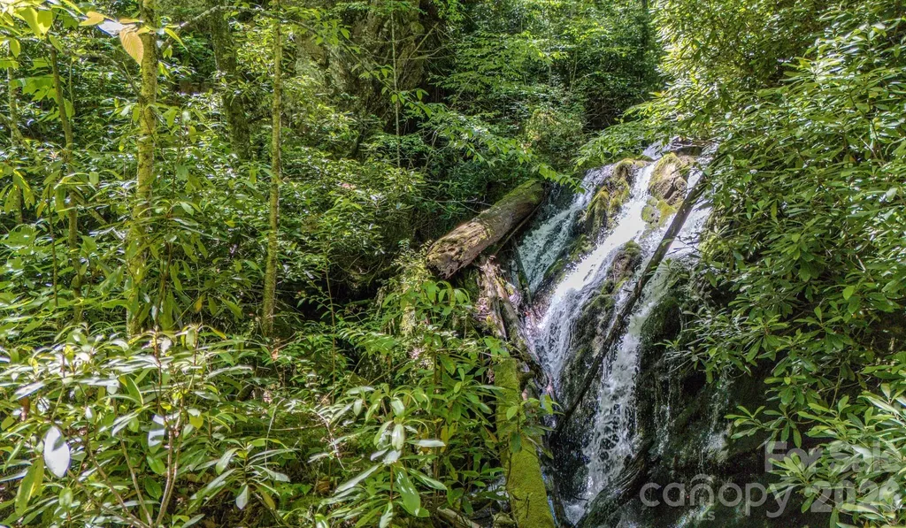 1712 Little Creek Road Hot Springs NC 28743