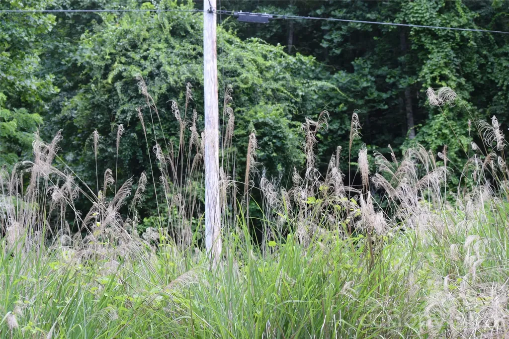 Tbd Wooded Mountain Trail Mars Hill NC 28754