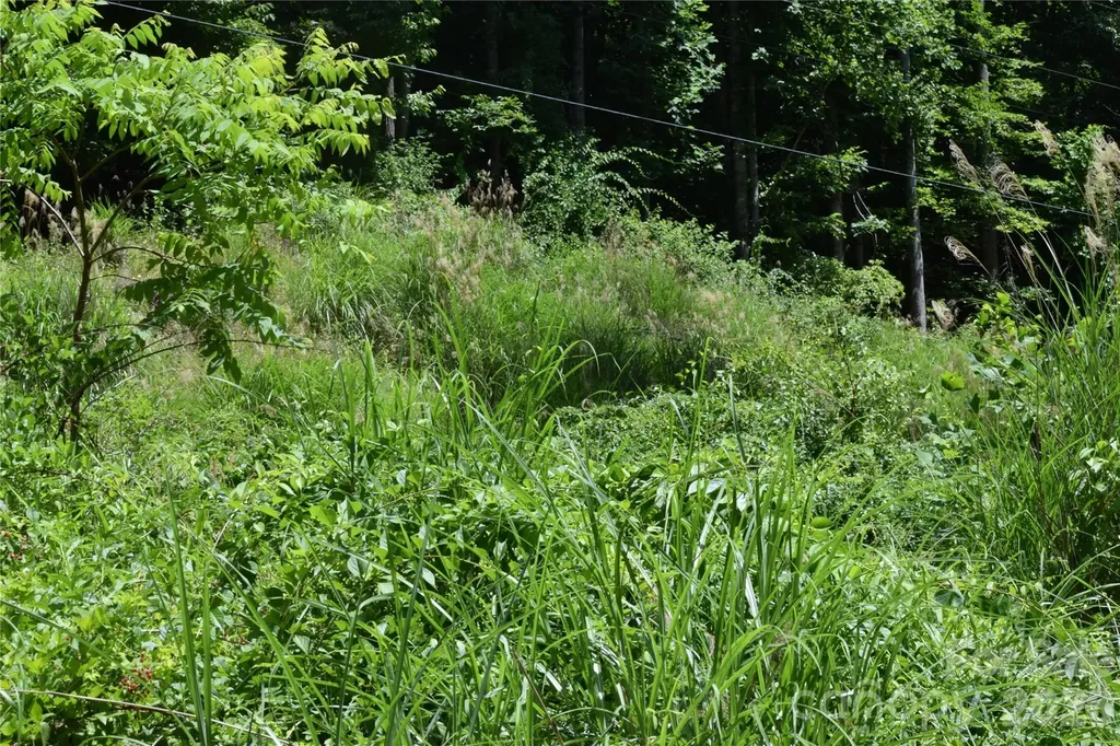 Tbd Wooded Mountain Trail Mars Hill NC 28754
