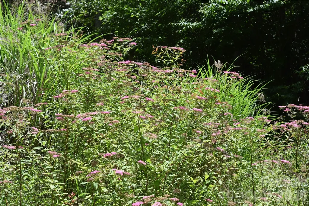 Tbd Wooded Mountain Trail Mars Hill NC 28754