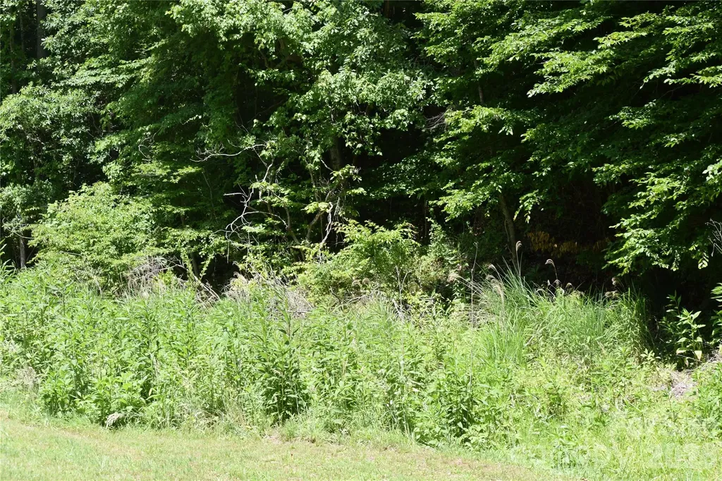Tbd Wooded Mountain Trail Mars Hill NC 28754