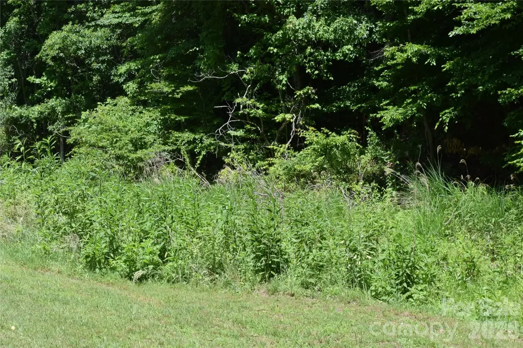 Tbd Wooded Mountain Trail Mars Hill NC 28754
