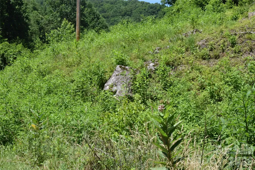 Tbd Wooded Mountain Trail Mars Hill NC 28754