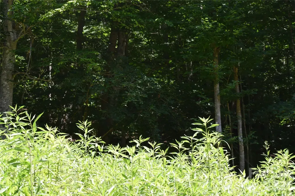 Tbd Wooded Mountain Trail Mars Hill NC 28754