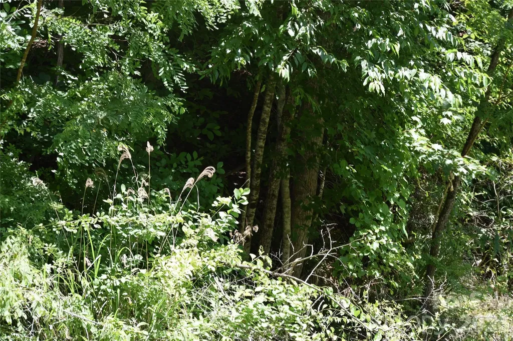 Tbd Wooded Mountain Trail Mars Hill NC 28754