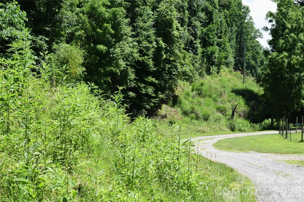 Tbd Wooded Mountain Trail Mars Hill NC 28754
