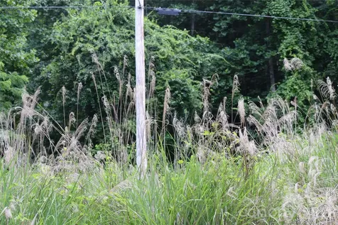 Tbd Wooded Mountain Trail Mars Hill NC 28754