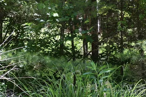 Tbd Wooded Mountain Trail Mars Hill NC 28754