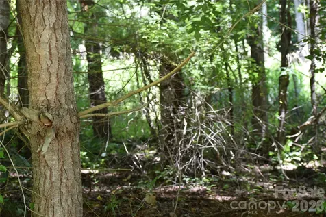 Tbd Wooded Mountain Trail Mars Hill NC 28754