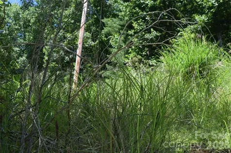 Tbd Wooded Mountain Trail Mars Hill NC 28754