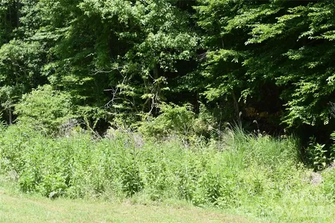 Tbd Wooded Mountain Trail Mars Hill NC 28754
