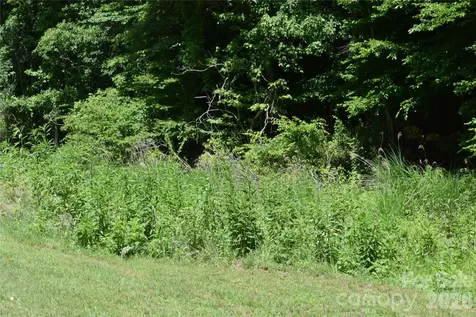Tbd Wooded Mountain Trail Mars Hill NC 28754