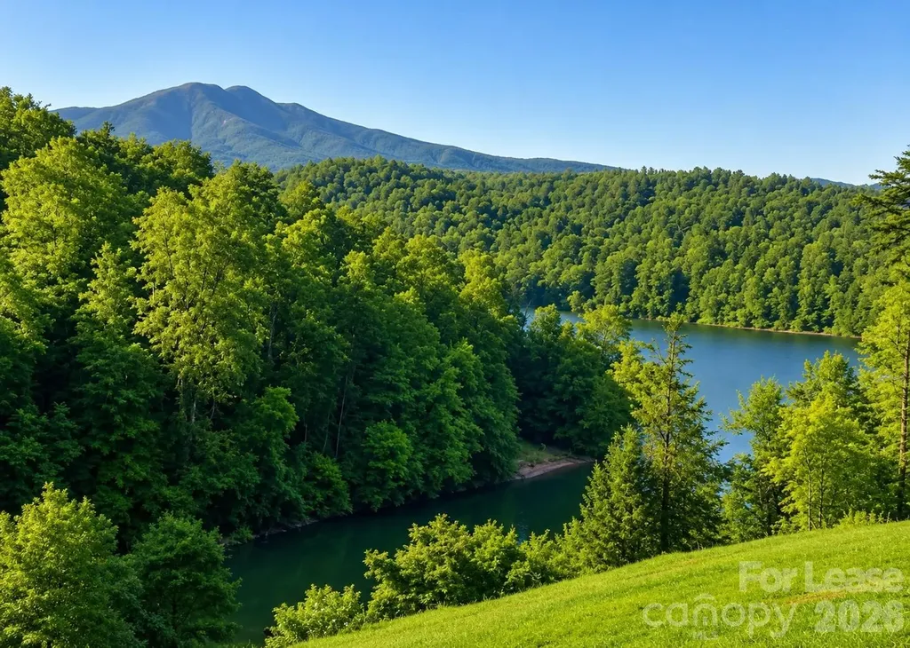 113 Lakeside Drive Marion NC 28752