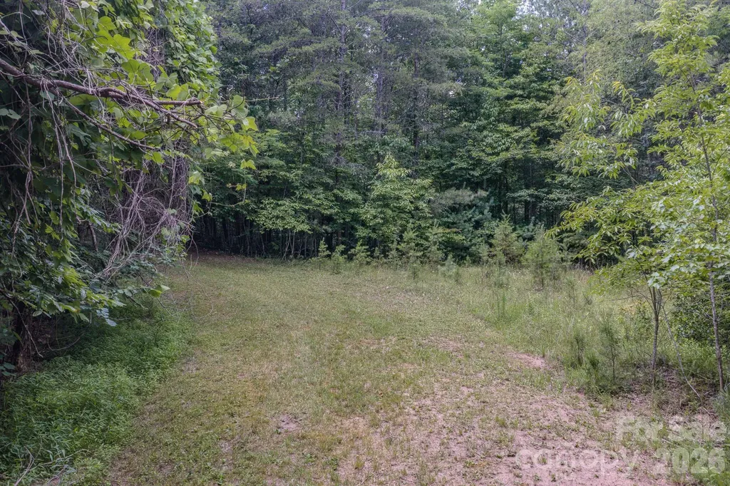 35 Coweeta Ridge Road Otto NC 28763