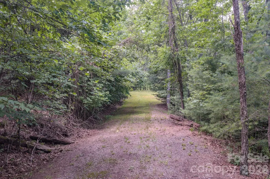 35 Coweeta Ridge Road Otto NC 28763