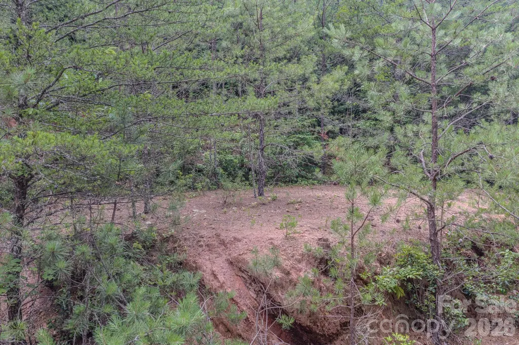 35 Coweeta Ridge Road Otto NC 28763