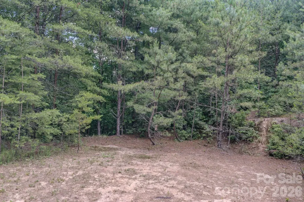 35 Coweeta Ridge Road Otto NC 28763