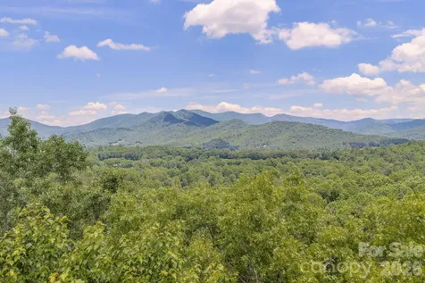 35 Coweeta Ridge Road Otto NC 28763